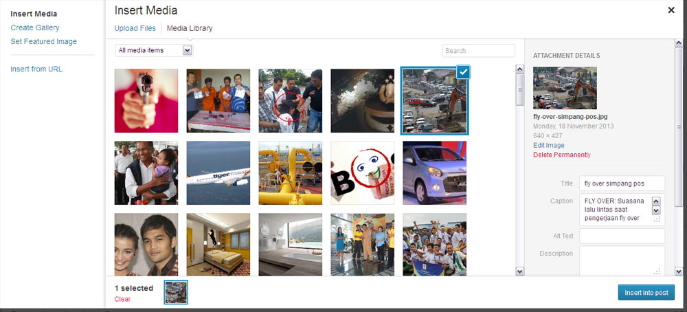 WordPress media library